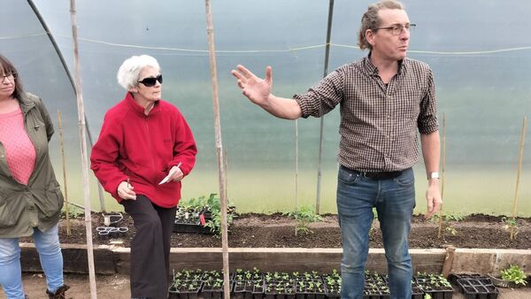 Reviving the kitchen garden