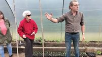 Reviving the kitchen garden