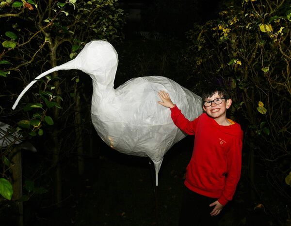 The Dream Garden: A Light Installation by artist Tom Meskell has attracted thousands to the The Jackie Clarke Collection, including James Henry. Picture: John O'Grady The Dream Garden: A Light Installation by artist Tom Meskell has attracted thousands to the The Jackie Clarke Collection, including James Henry. Picture: John O'Grady