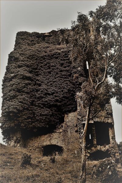Hag’s Castle (otherwise known as Tullokyne Castle), near Moycullen, has some very interesting stories to tell. Hag’s Castle (otherwise known as Tullokyne Castle), near Moycullen, has some very interesting stories to tell.