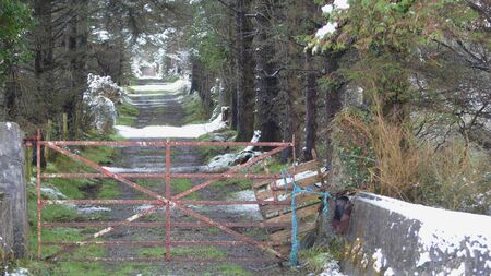 January is the month of fresh starts