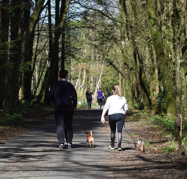 Walkers take a leisurely stroll in Belleek Woods during the Covid-19 crisis. Picture: David Farrell Photography Walkers take a leisurely stroll in Belleek Woods during the Covid-19 crisis. Picture: David Farrell Photography