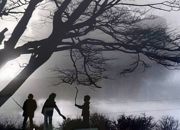 Youngsters silhouetted against a winter skyline as they play alongside a tree at Belleek Woods, Ballina, in October 1979. Photograph: David Farrell. Youngsters silhouetted against a winter skyline as they play alongside a tree at Belleek Woods, Ballina, in October 1979. Photograph: David Farrell.