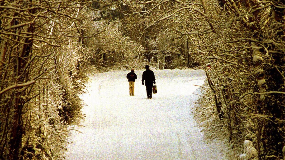 Belleek Woods: the crown jewel of beautiful Ballina