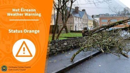 Storm Gerrit: Roads across Cork closed, Fota shuts gates early