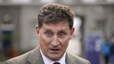 Eamon Ryan criticises false stories and says online disinformation is ‘really toxic’
