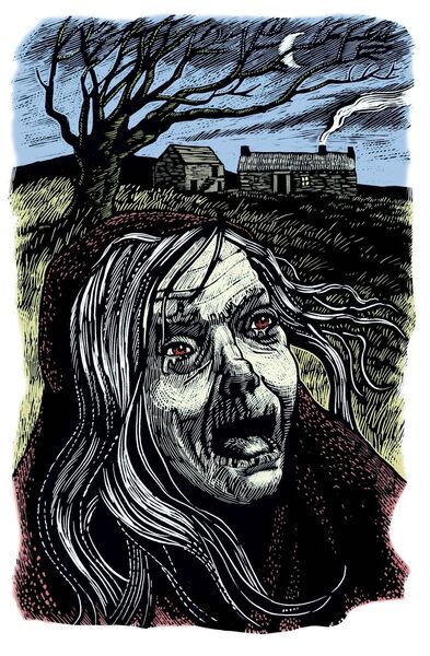 An illustration of a banshee by Brian Gallagher for 'An Irish Folklore Treasury: A Selection Of Old Stories, Ways And Wisdom From The Schools’ Collection', by John Creedon, published by Gill Books. An illustration of a banshee by Brian Gallagher for 'An Irish Folklore Treasury: A Selection Of Old Stories, Ways And Wisdom From The Schools’ Collection', by John Creedon, published by Gill Books.