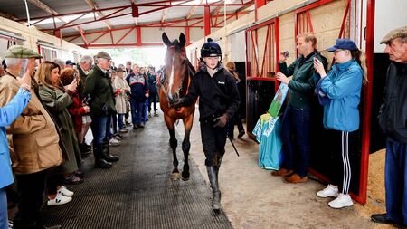 Big shots should beware of the underdog