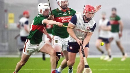 Mayo are no match for Big Apple visitors