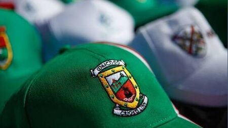 All vacancies are filled within Mayo LGFA