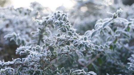 Freezing temperatures cause travel disruption as new ice warnings issued