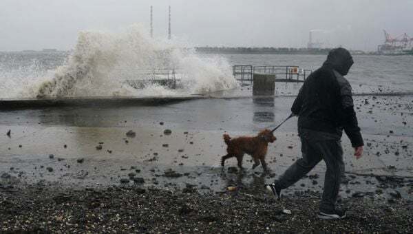 Storm Isha: 'Severe and damaging' winds to hit Ireland with orange warning for all counties - Homepage - Vimarsana News