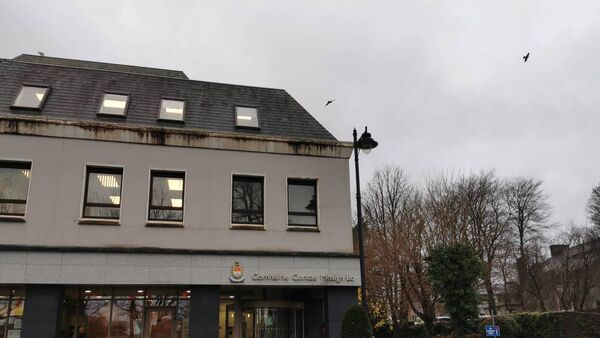 Mayo local election candidate disappointed at support for 'backward' council motion