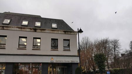 Mayo local election candidate disappointed at support for 'backward' council motion