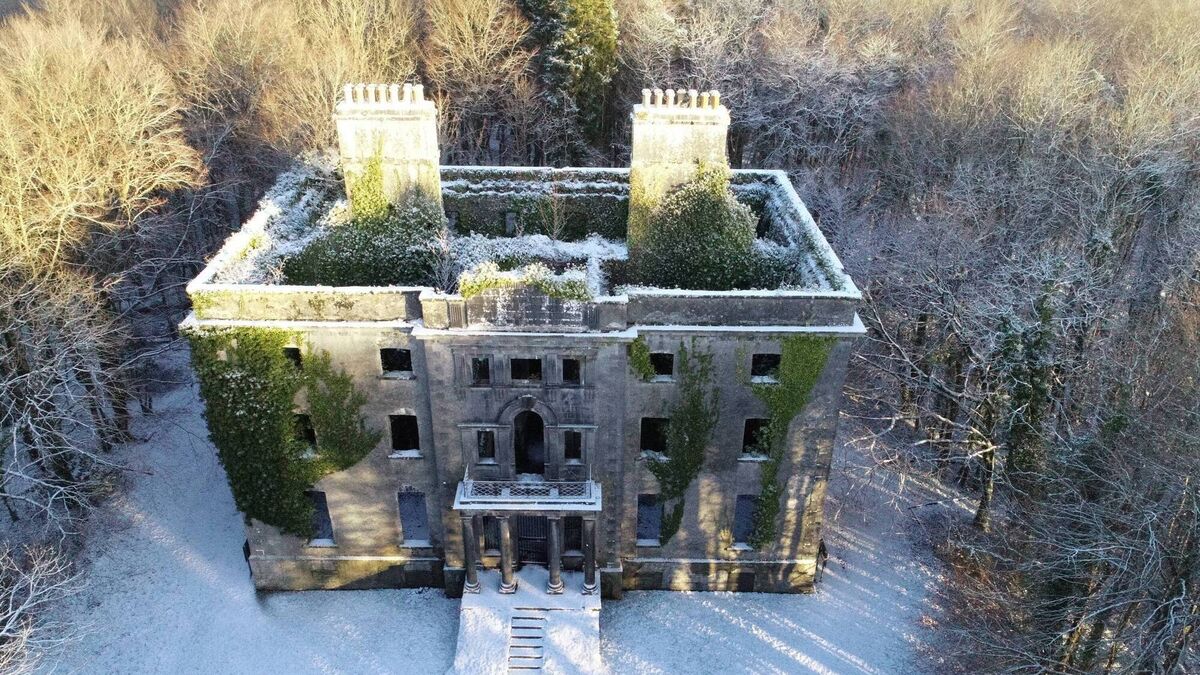 Local Notes: Moorehall, Carra, in the January sunshine and snow