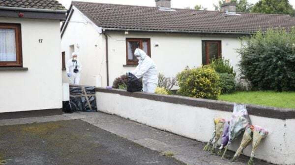 Murder accused was not taking medication months before machete assault, carer tells trial