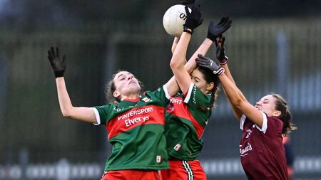 LGFA announces details of 2024 live-streaming service