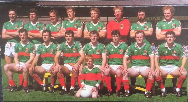 The Mayo team that drew with Dublin in the All-Ireland senior football semi-final in 1985. Back row, from left: Sean Lowry, Peter Ford, Martin Carney, TJ Kilgallon, Willie Joe Padden, Eugene Lavin, Frank Noone, Jimmy Burke. Front row: Dermot Flanagan, John Finn, John Maughan, Henry Gavin, Noel Durkin, Eugene McHale, Kevin McStay. Picture: Western People Archives The Mayo team that drew with Dublin in the All-Ireland senior football semi-final in 1985. Back row, from left: Sean Lowry, Peter Ford, Martin Carney, TJ Kilgallon, Willie Joe Padden, Eugene Lavin, Frank Noone, Jimmy Burke. Front row: Dermot Flanagan, John Finn, John Maughan, Henry Gavin, Noel Durkin, Eugene McHale, Kevin McStay. Picture: Western People Archives