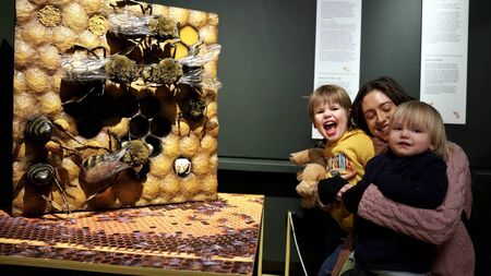 Everyone should take a trip to the Murmur of Bees exhibition