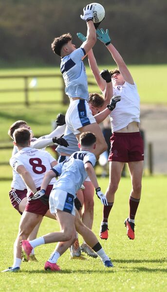St Gerald’s College midfielder Patrick Flannelly reaches skyward to pluck the ball from mid-air. St Gerald’s College midfielder Patrick Flannelly reaches skyward to pluck the ball from mid-air.