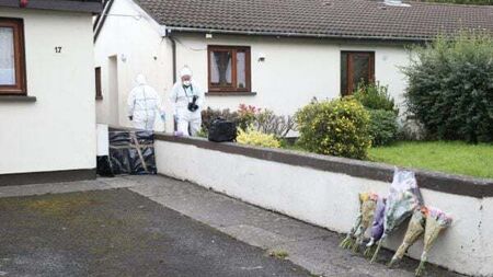 Dublin man receives life sentence for 'ferocious' murder of 'timid and quiet gentleman'