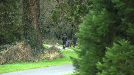 Gardaí seal off wooded area at Dublin park in search for missing Icelandic man
