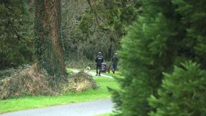 Gardaí seal off wooded area at Dublin park in search for missing Icelandic man Gardaí seal off wooded area at Dublin park in search for missing Icelandic man