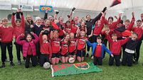 Local Notes: St Joseph's NS, Ballinrobe captured the Mayo Mini-7s ladies football for the first time