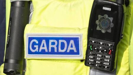 Gardaí seize cocaine, cash, car and ammo in the West