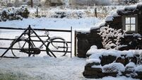 1947 was the year when a February snowstorm wreaked havoc in the West