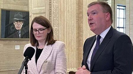 Irish funding for North ‘not intended as any kind of political statement’