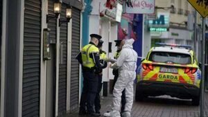 Gardaí make 10th arrest over Blanchardstown killing