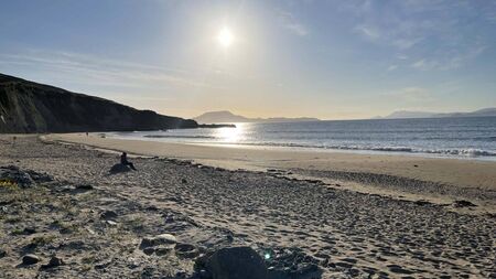 Birdwatch Mayo to host meeting in Louisburgh