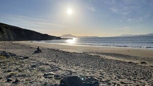 Birdwatch Mayo to host meeting in Louisburgh