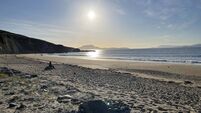 Birdwatch Mayo to host meeting in Louisburgh