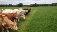 Farmers are being 'unfairly made culprits' for carbon emissions 
