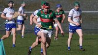 Five changes to Mayo hurling team as Cavan come to town
