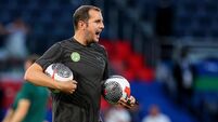 O'Shea appointed as new interim Ireland head coach