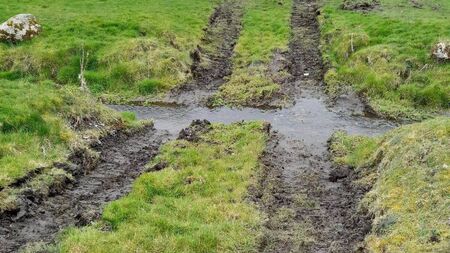 Council found guilty of damage to salmon run