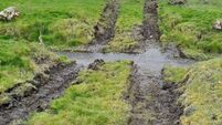Council found guilty of damage to salmon run