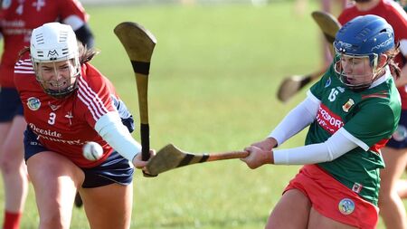 O'Meara looking at Mayo's long-term camogie future