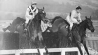 There’ll never be another quite like Arkle 