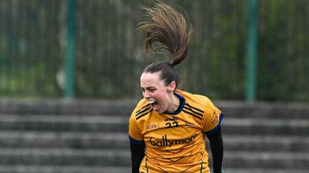 McHale hopeful Mayo can take a bite out of Orchard