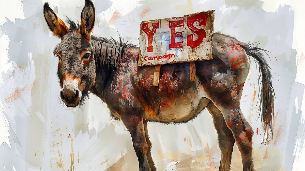 Voters knew a gimmick when they saw it