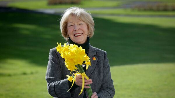 The daffodil is a symbol of renewal and hope