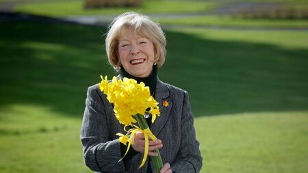 The daffodil is a symbol of renewal and hope