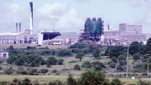 Permission granted for biomass power station