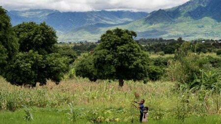 Irish aid worker: Malawi faces existential threat due to climate change