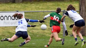 McHale satisfied with "good league campaign"