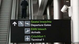 Woman arrested and €300,000 worth of cannabis seized at Dublin Airport